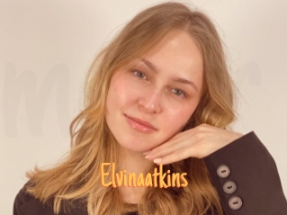 Elvinaatkins