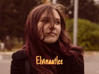 Elvinaatlee