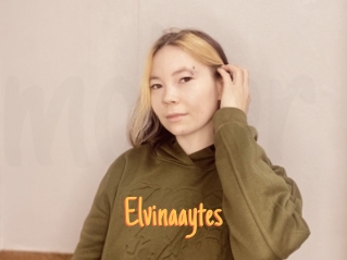 Elvinaaytes