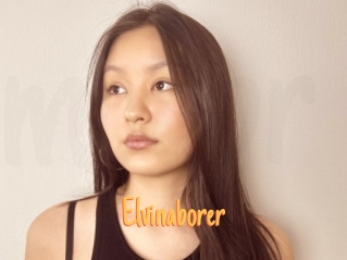 Elvinaborer