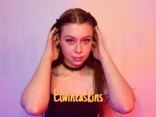 Elwineaskins