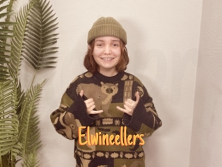 Elwineellers