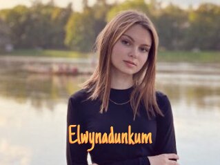 Elwynadunkum
