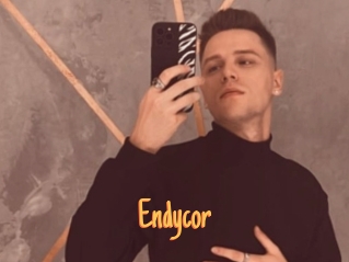 Endycor