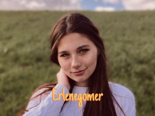 Erlenegomer