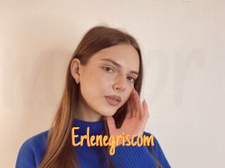 Erlenegriscom