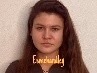 Esmehandley