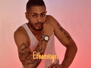 ethanvogel Mobile Porno