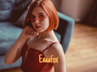 Evaafox