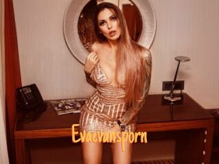 Evaevansporn