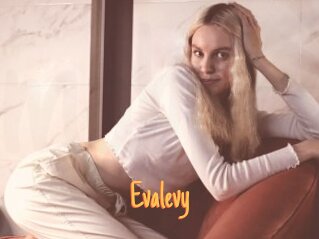 Evalevy