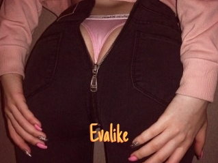 Evalike