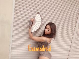Evamadriid