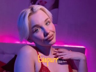 Evapurr