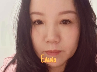 evawa Mobile Porno