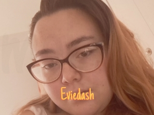 Eviedash