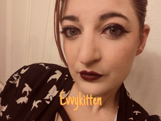 Evvykitten