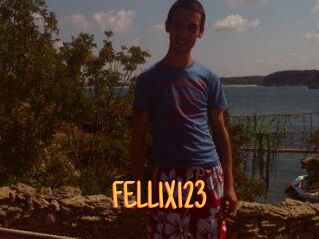 FELL1X123