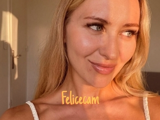 Felicecam