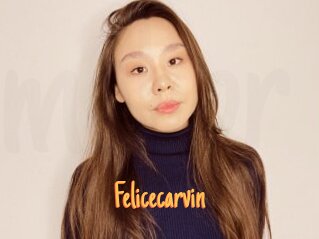 Felicecarvin