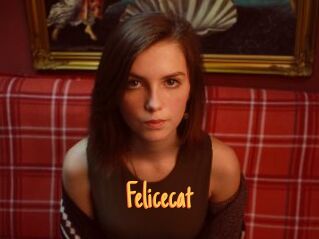 Felicecat