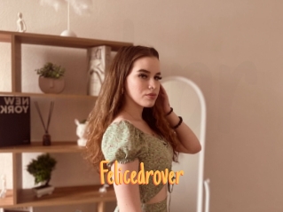 Felicedrover