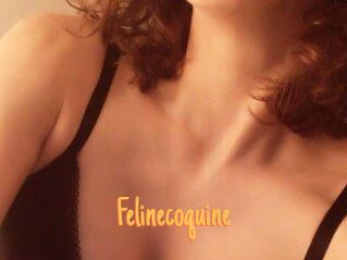 Felinecoquine