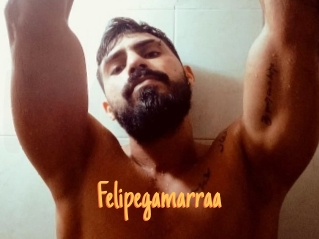 Felipegamarraa