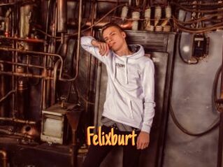 Felixburt