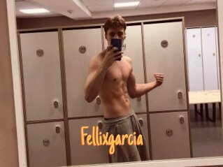 Fellixgarcia
