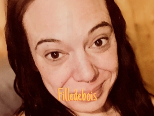 Filledebois