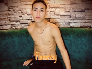 Flamevoy