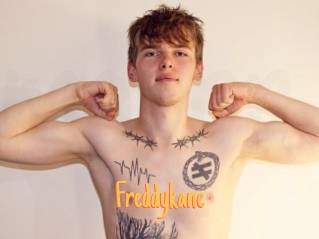 freddykane Mobile Porno