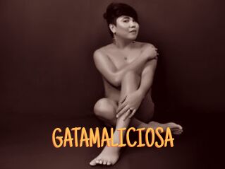 GATAMALICIOSA