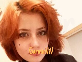 GarminViV Mobile Porno