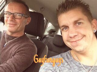 Gayfunguys