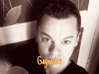 Gayminet