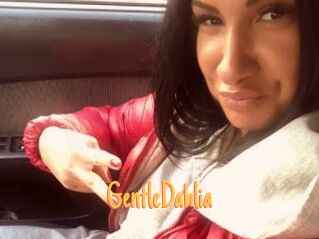 GentleDahlia