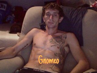 Gnomeo