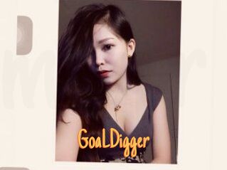 GoaLDigger