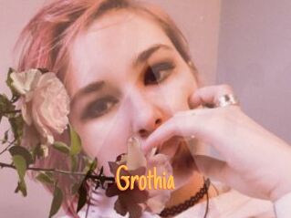 Grothia