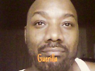 Guerilla Mobile Porno