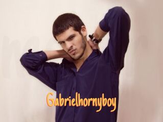 Gabrielhornyboy