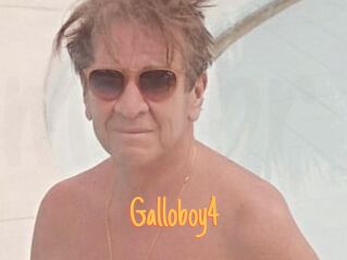 Galloboy4