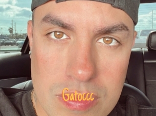 Gatoccc