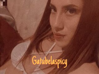 Gatubelaspicy