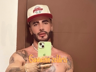 Gawainn_zeldris