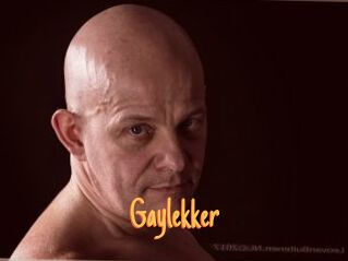 Gaylekker