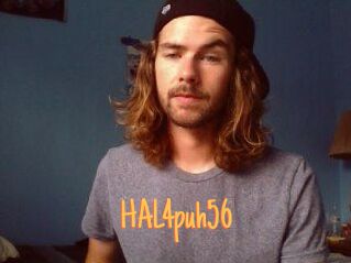 HAL4puh56