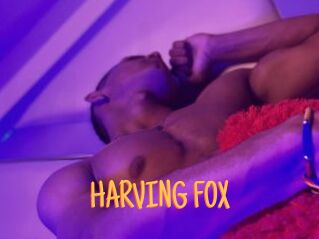 HARVING_FOX